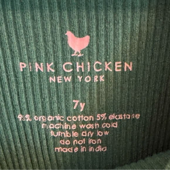 NWOT Pink Chicken Evergreen Organic Princess Diana Dress size 7 - Picture 2 of 2